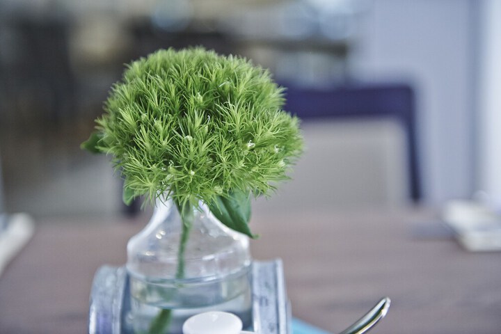 Wedding/Banquet 46 of 54