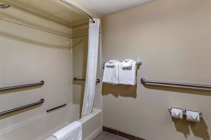 1 King Bed Accessible (17 of 22)
