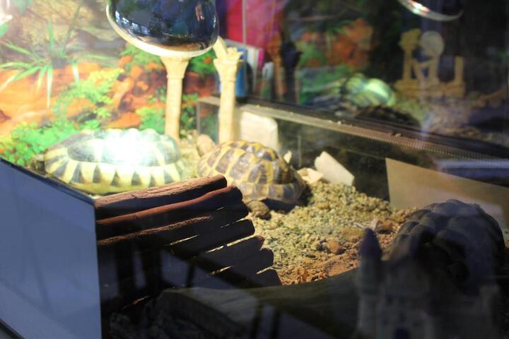 Fitness Facility Photos