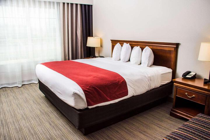 1 King Bed (6 of 9)