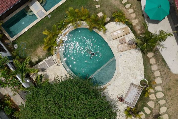 Palmhouse Boutique Hotel