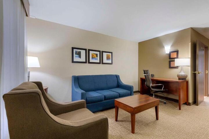 1 King Bed Suite (7 of 18)