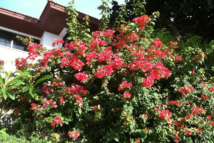 Photo 27