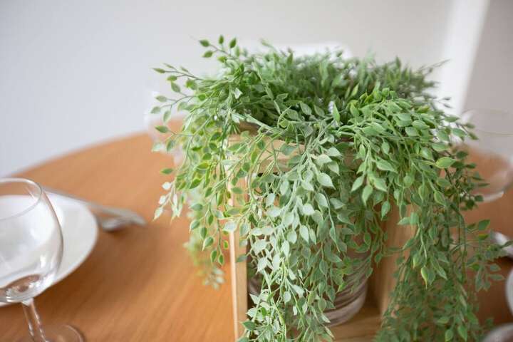 Hotel Interior 18 of 19