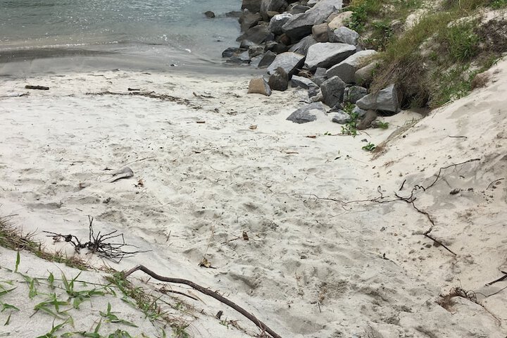 Beach 53 of 64