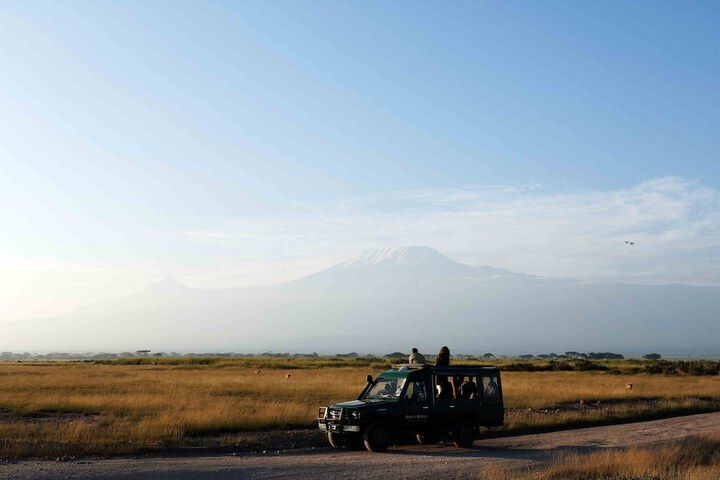 Safari