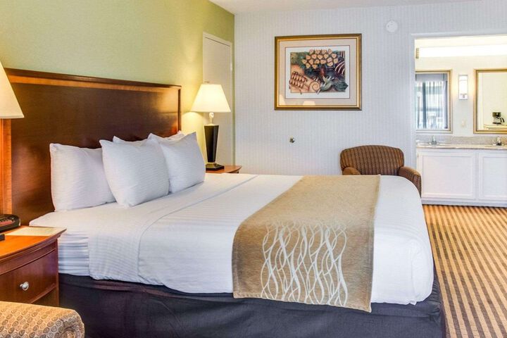 Standard Queen Bed Accessible (1 of 4)
