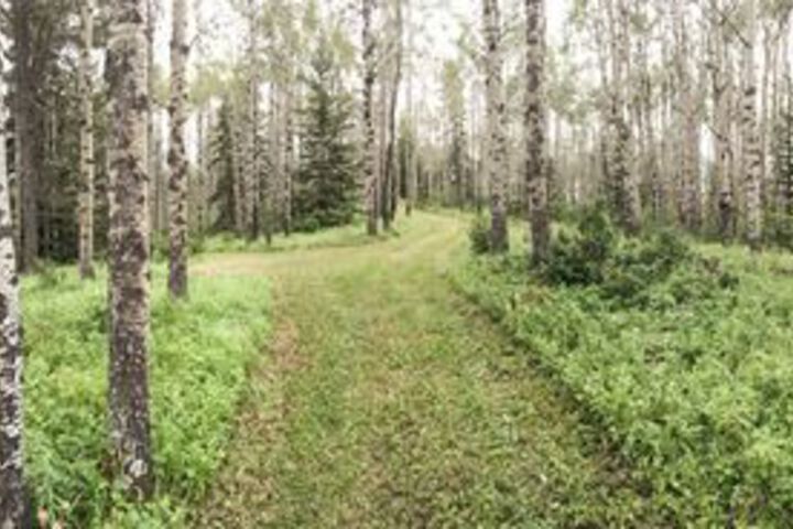 Property Grounds 57 of 67