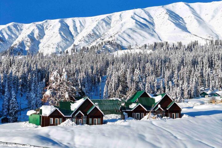 Gulmarg Woods by Stay Pattern