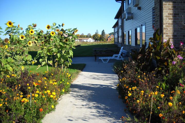 Garden view