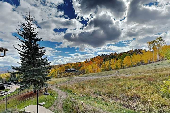 Terrace/Patio 669 of 891