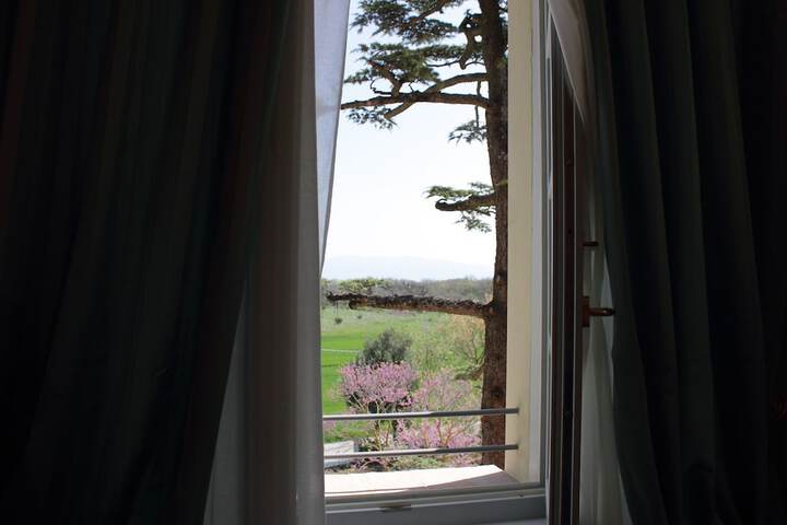 Hotel View 151 of 151