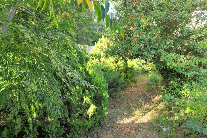 Property Grounds 40 of 52