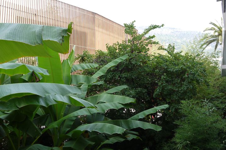 View from room
