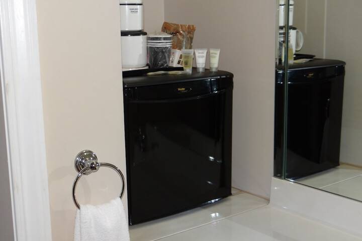 Mini-refrigerator
