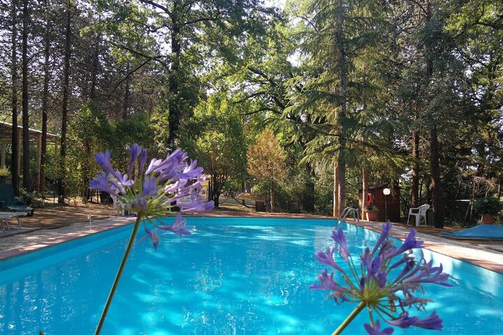 Pool 63 of 121