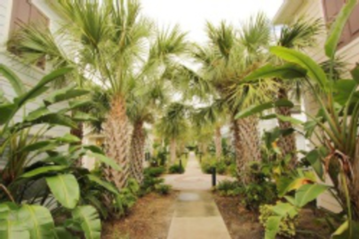 Hotel Exterior 7 of 323