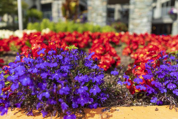 Hotel Exterior 54 of 60