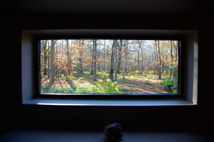 Hotel View 36 of 39