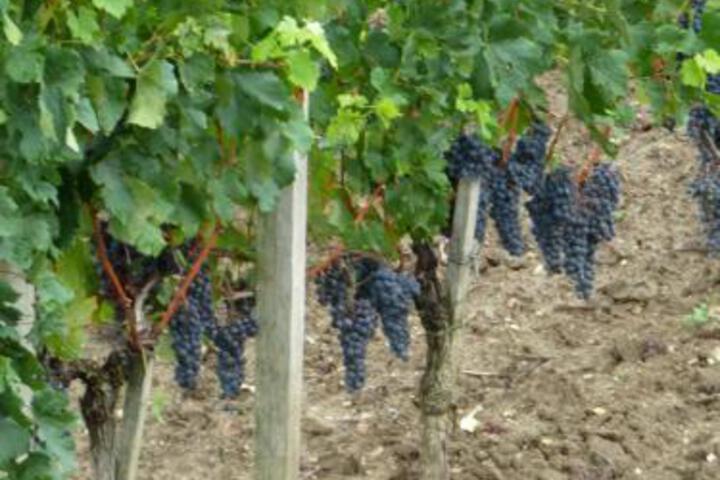 General 33 of 48