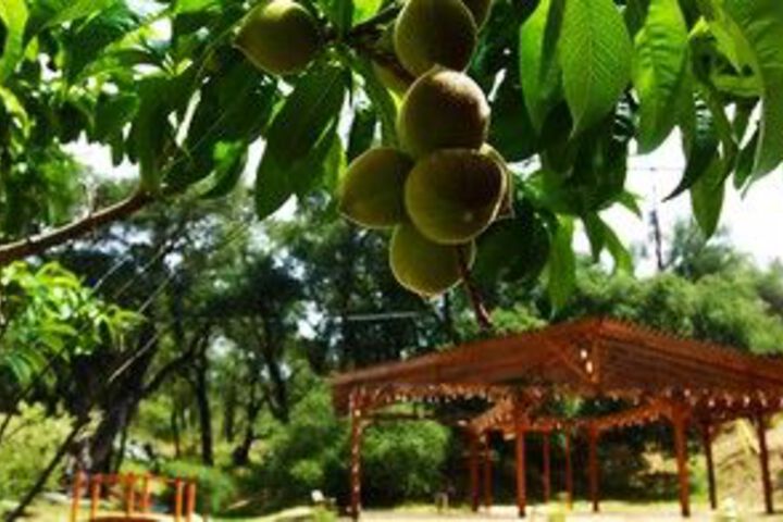 Hotel Exterior 20 of 75