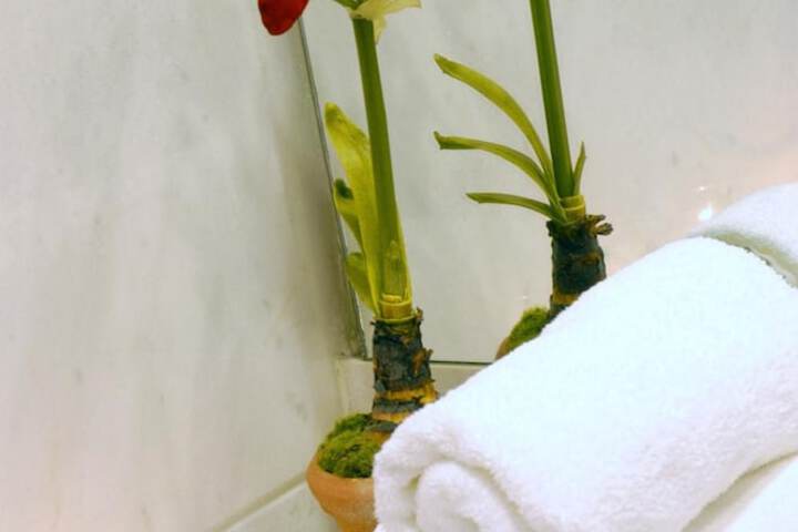 Bath Photo