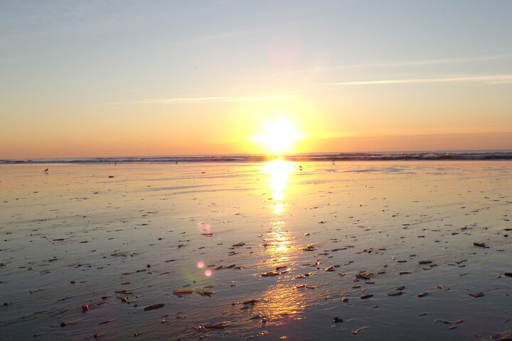 Beach 66 of 75