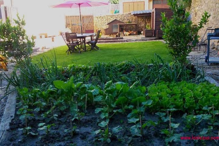 Spa and Wellness Pictures