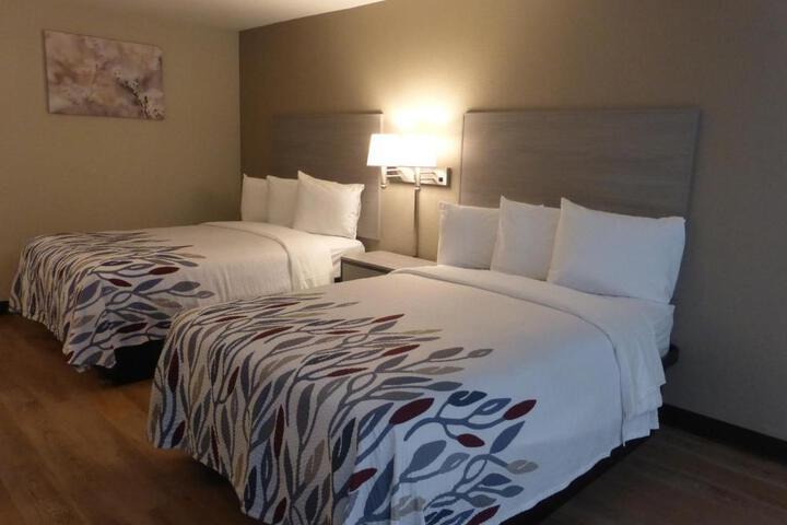 Deluxe 2 Double Beds (5 of 6)
