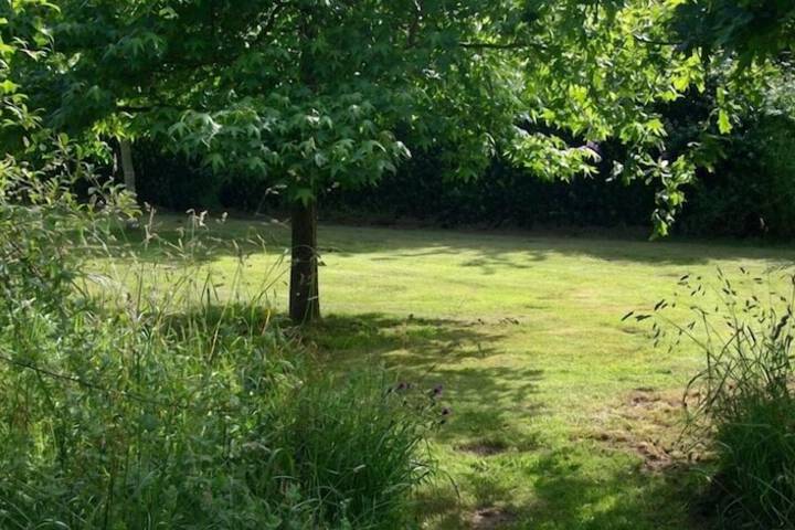 Property Grounds 30 of 37