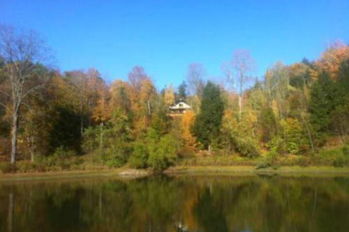 Photo 4