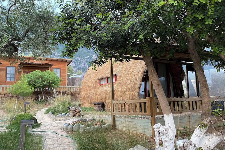 Geko Akbuk in Mugla