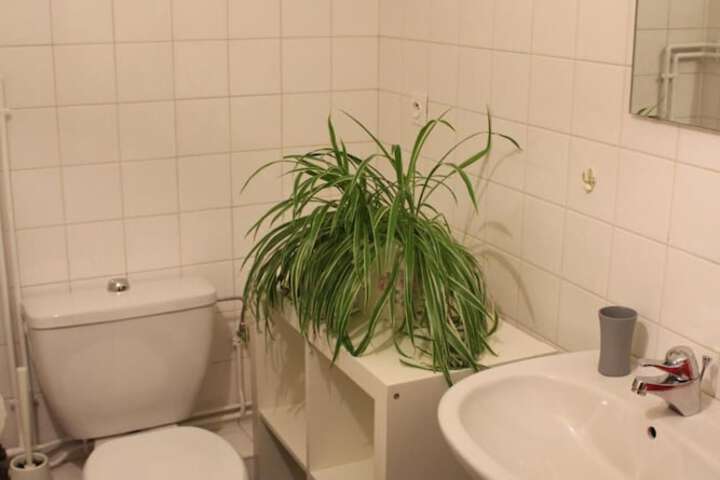 Clean Restrooms