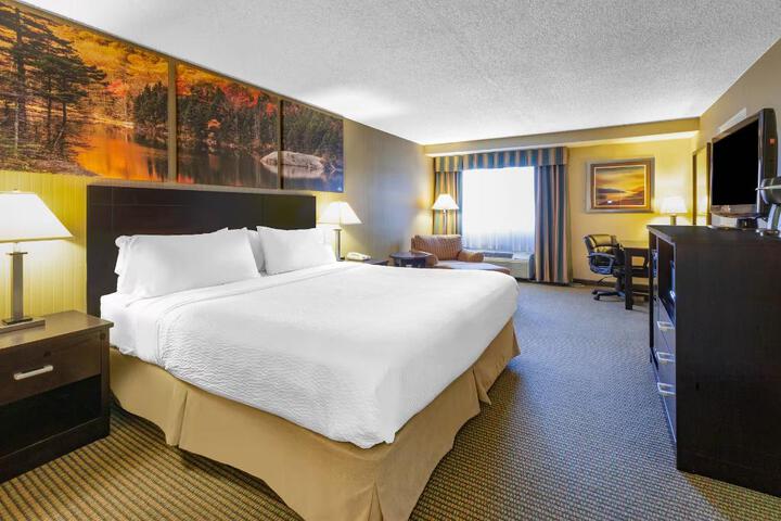 1 King Bed (8 of 11)
