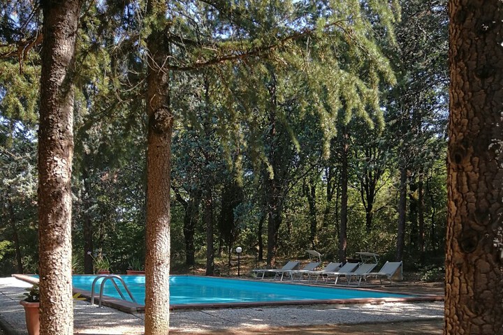Pool 66 of 121
