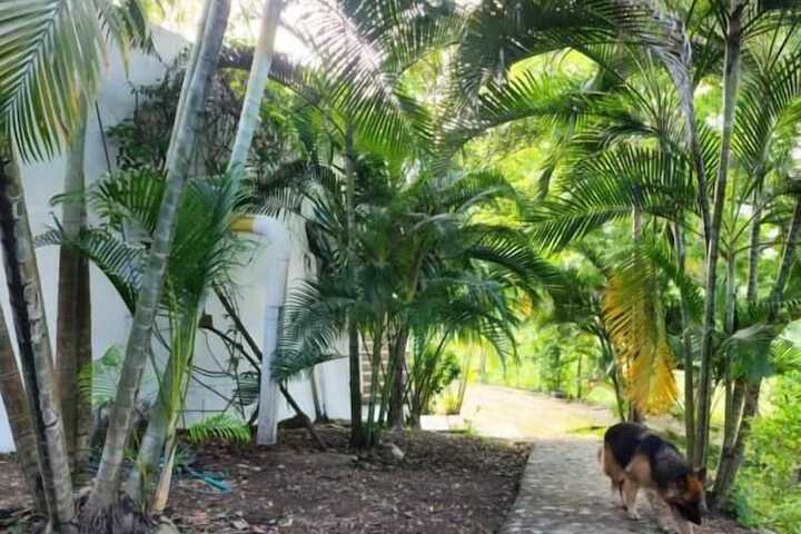 Property Grounds 19 of 21