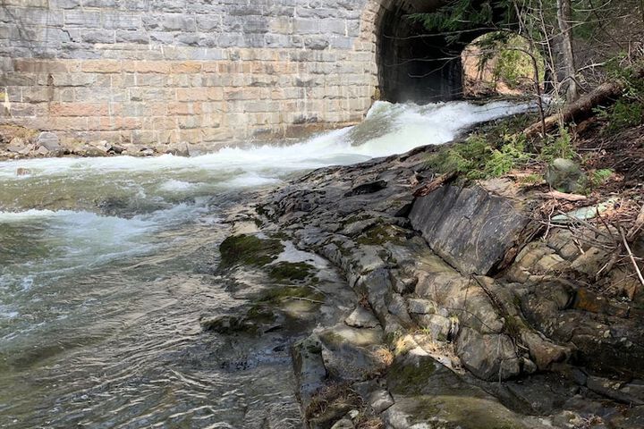 Property Grounds 63 of 67