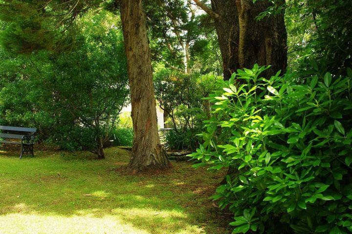 Property Grounds 24 of 39