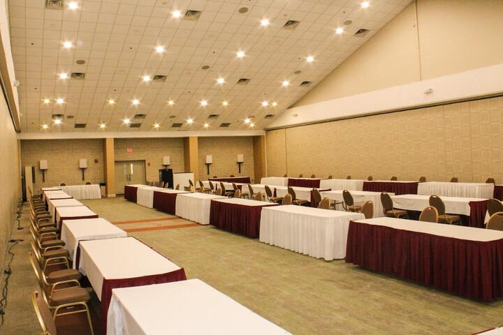 Conferences