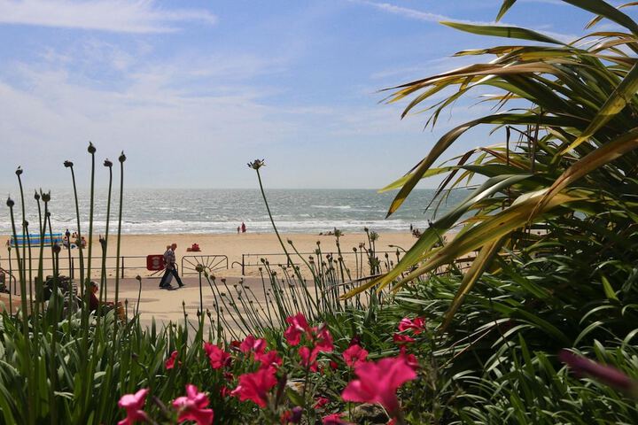 Beach 42 of 53