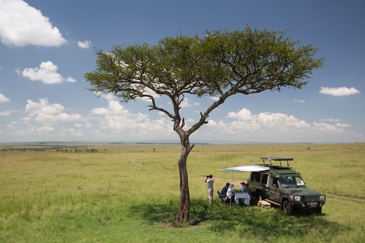 Safari