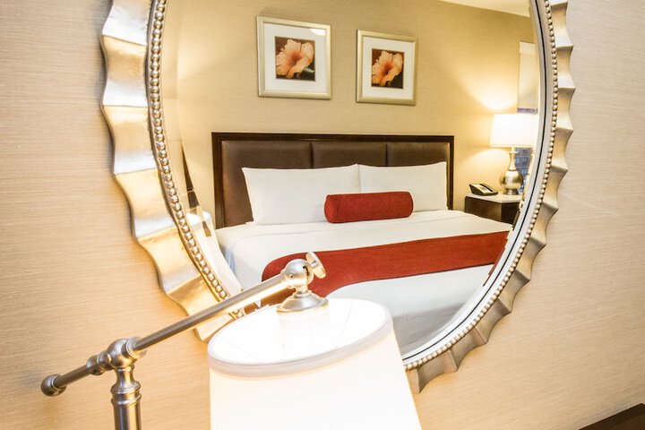 Standard | King Bed (6 of 18)