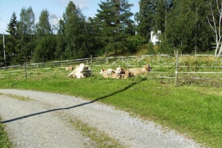 Täljegården Lantgårds Hotell