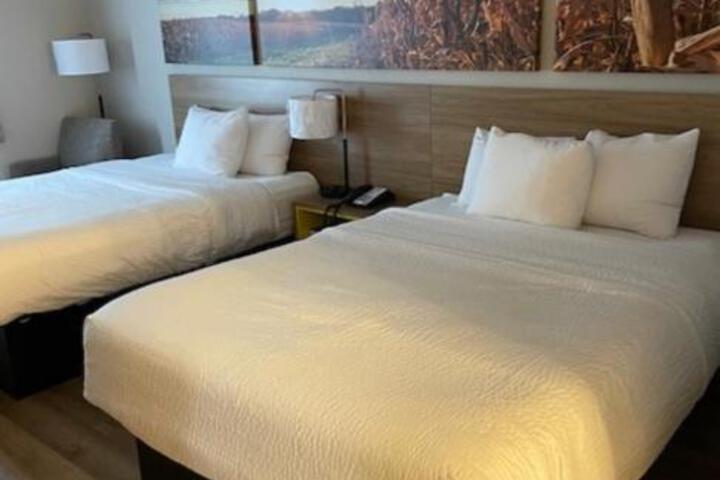 2 Queen Beds (6 of 11)