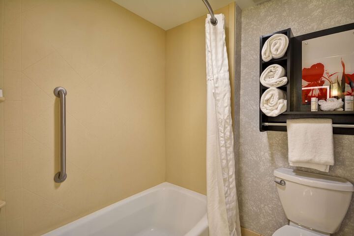 1 King Bed 1 Bedroom Suite (25 of 37)