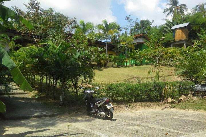 Photo 25