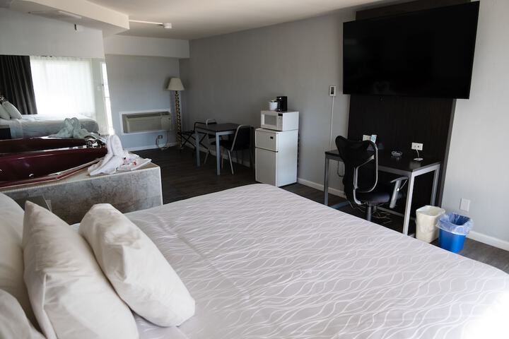 1 King Bed Pet Friendly Accessible (1 of 90)