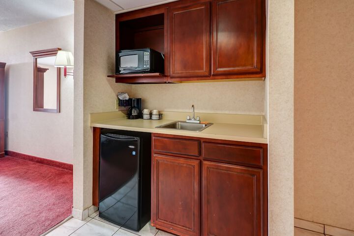 Mini-refrigerator