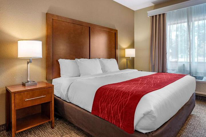 1 King Bed Accessible (7 of 27)