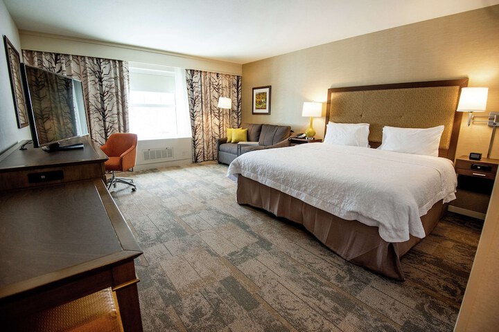 1 King Hearing Accessible with Sofa Bed (23 of 23)